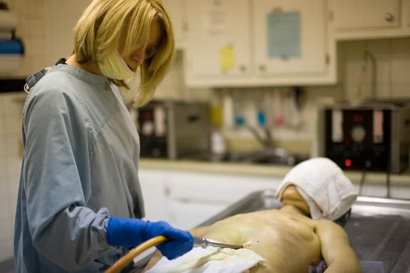 embalming 1